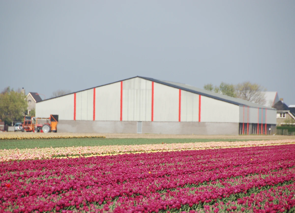 Nieuwbouw bedrijfsruimte – Breezand