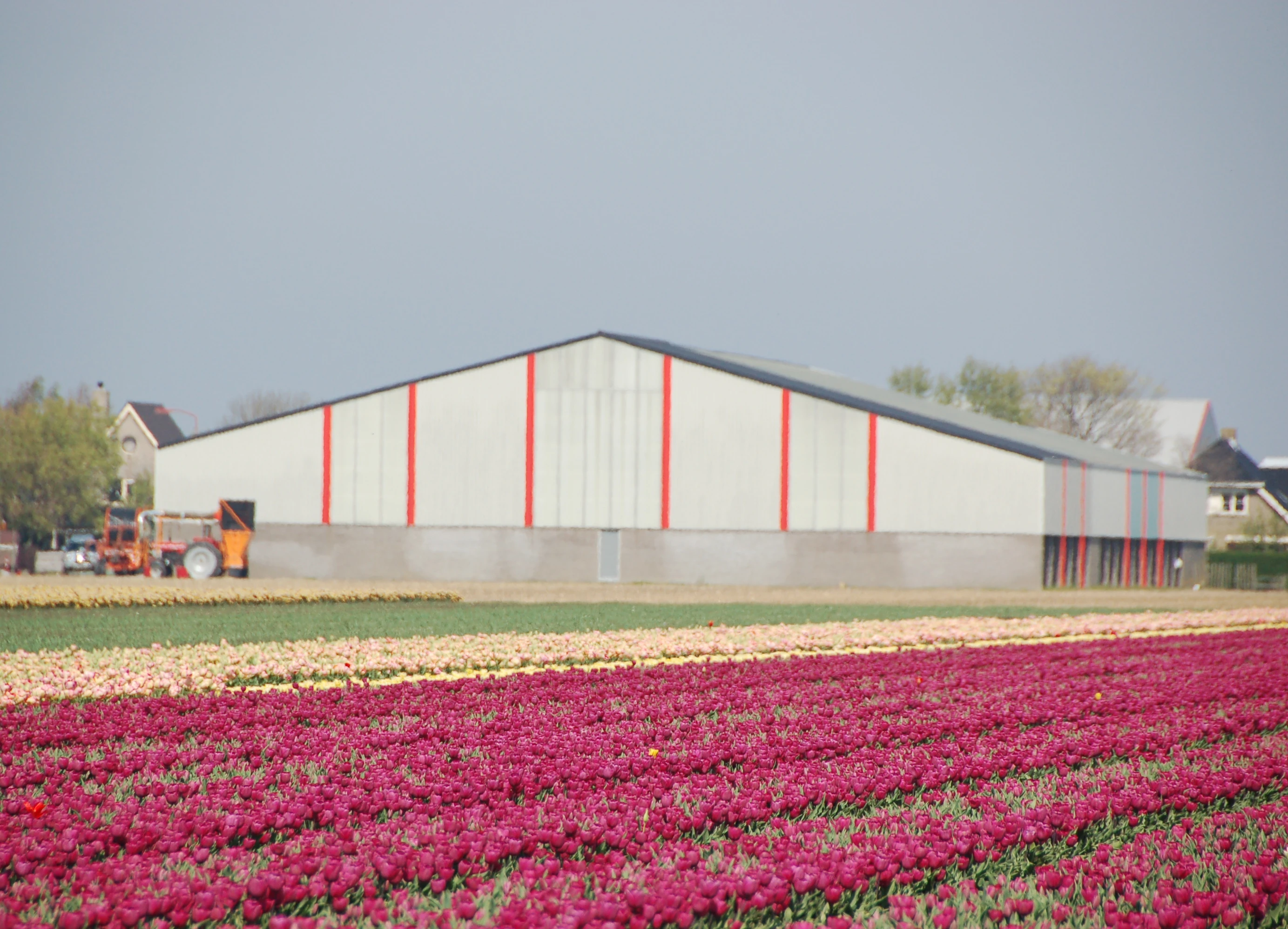 Nieuwbouw bedrijfsruimte – Breezand